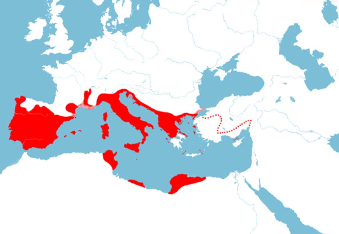 转折点!罗马调整名单,欧篮联赛前攻防权衡,目标明确,训练强度明显提升 转折点!罗马调整名单,欧篮联赛前攻防权衡,目标明确,训练强度明显提升