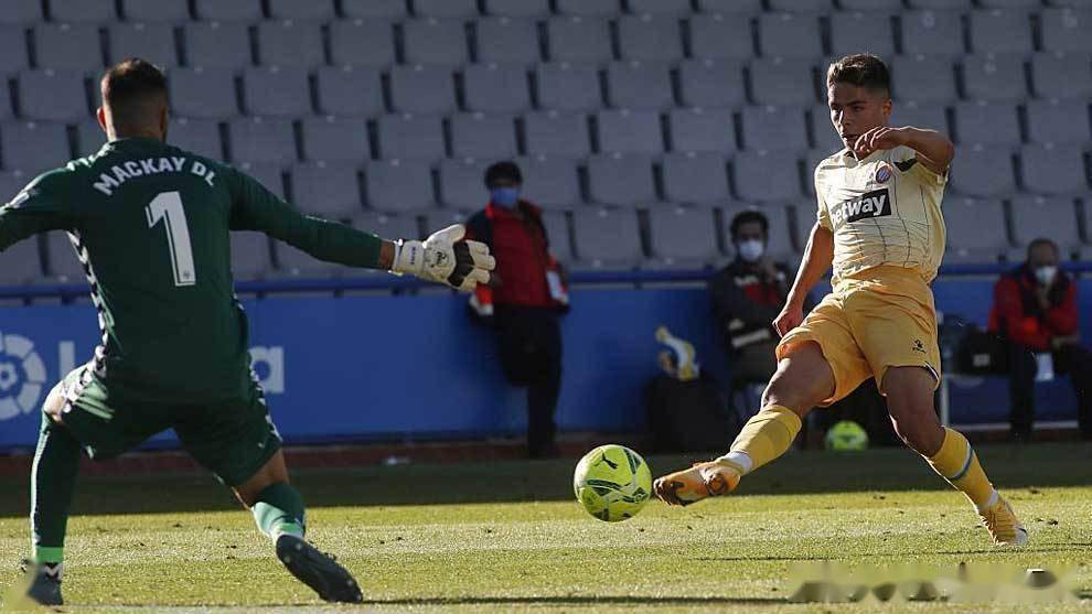 荷甲直播在线观看高清-开云体育入口